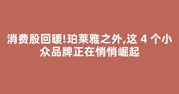 消费股回暖!珀莱雅之外,这 4 个小众品牌正在悄悄崛起-第1张图片-首页 消费股回暖!珀莱雅之外,这 4 个小众品牌正在悄悄崛起-第1张图片-首页